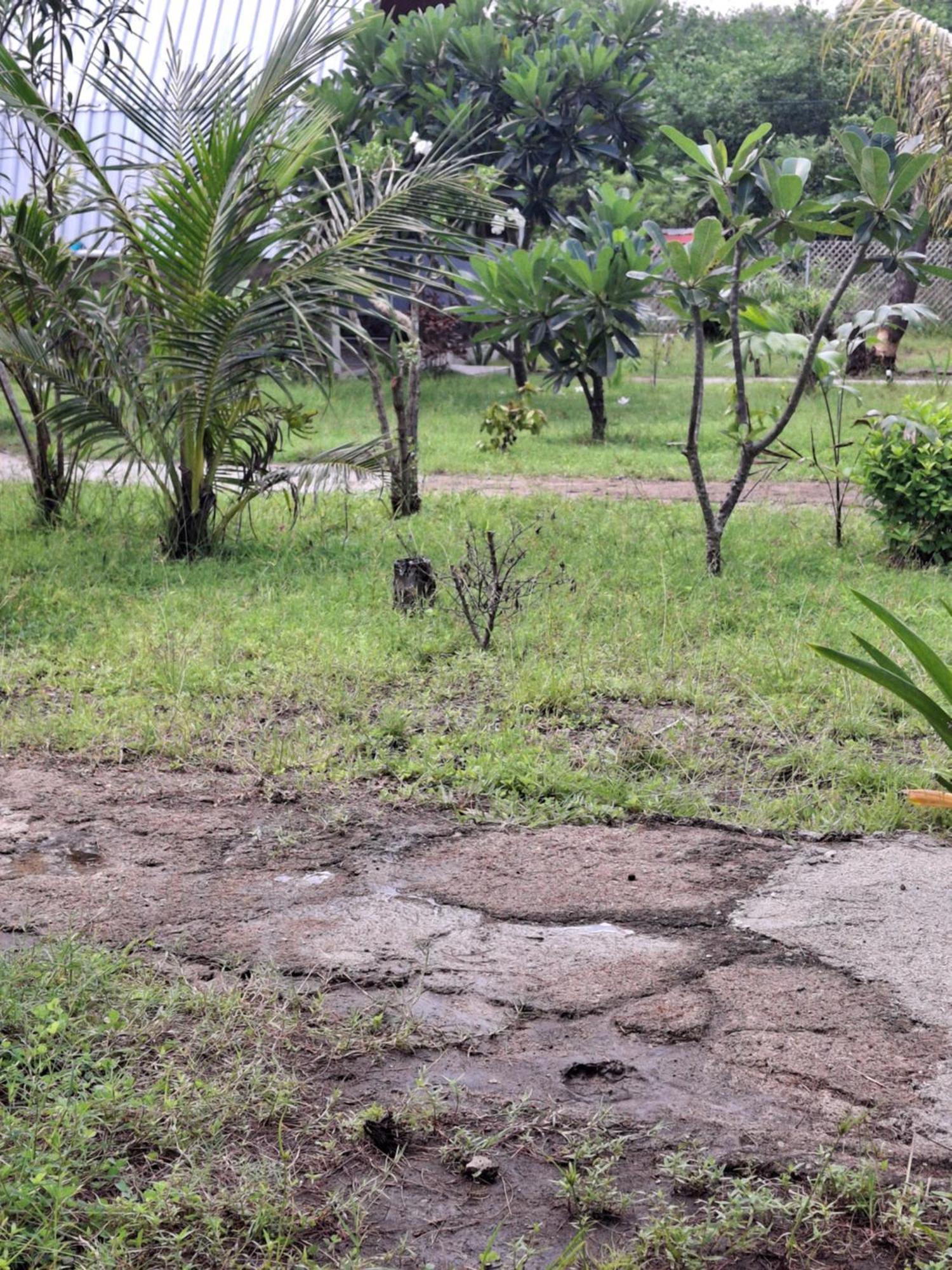 Cnunk Bungalow Gili Meno Ngoại thất bức ảnh