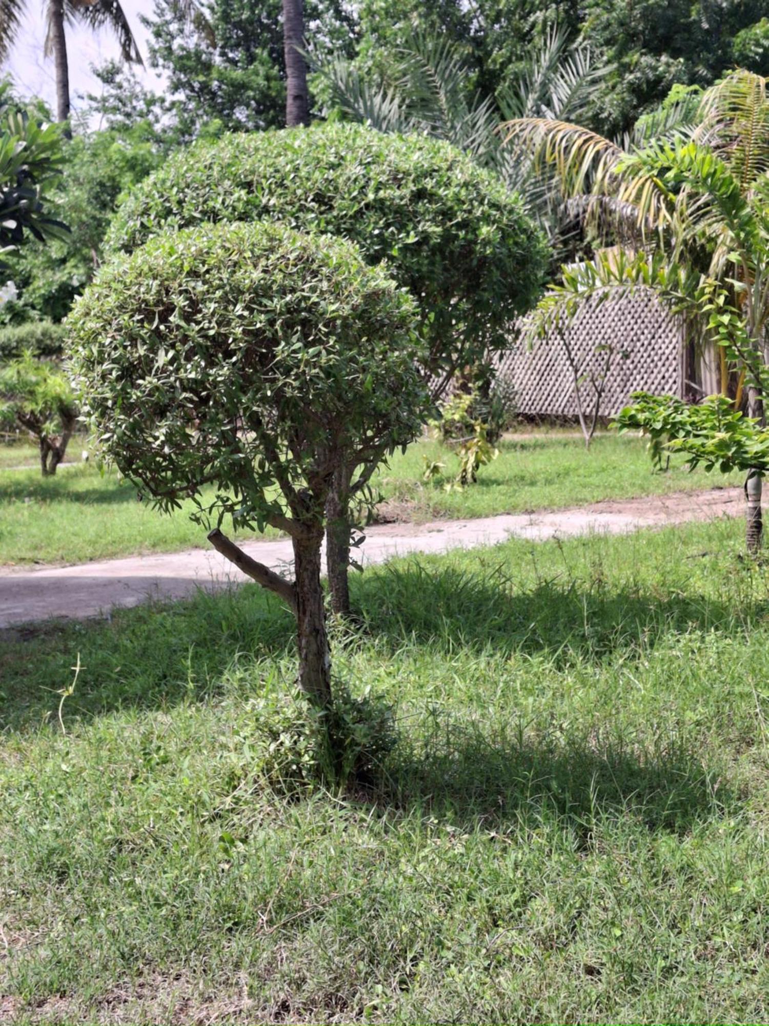 Cnunk Bungalow Gili Meno Ngoại thất bức ảnh